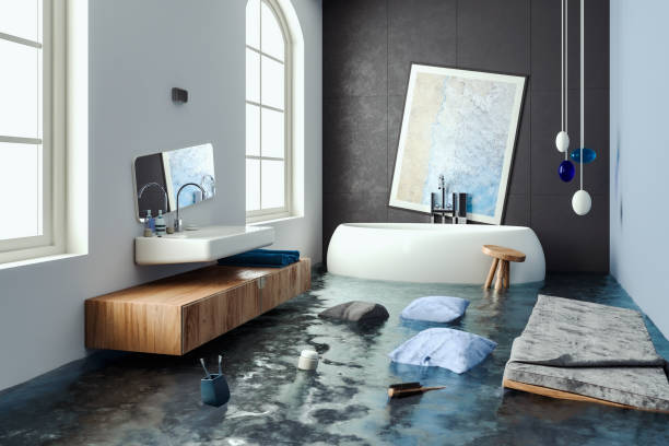 Best Flooded house restoration  in , TX