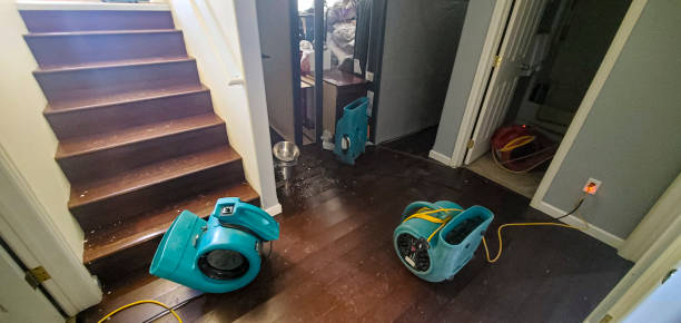Best Water damage cleanup near me  in , TX