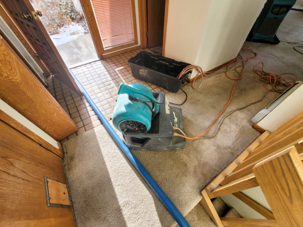 Best Fire Damage Restoration  in , TX