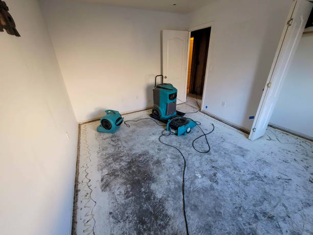  , TX Water damage restoration Pros