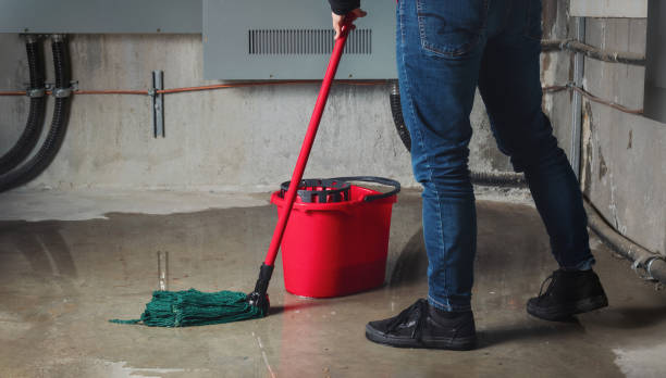 Best Flood restoration services  in , TX