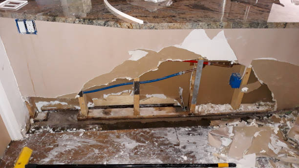 Best Carpet water damage restoration  in , TX