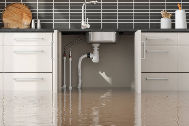 , TX Water damage restoration Pros