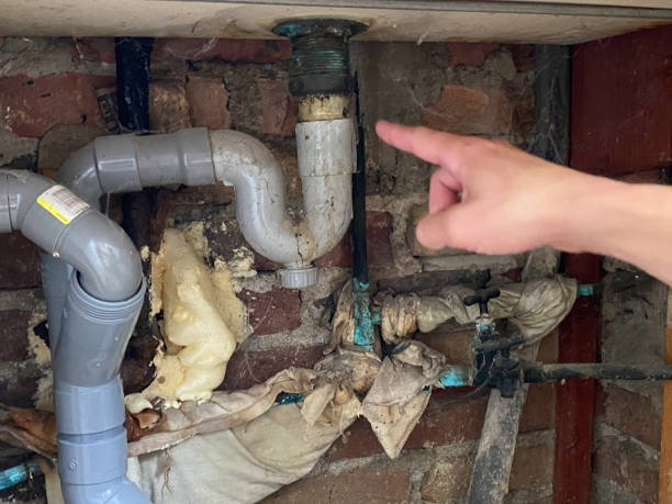 Best Water damage restoration near me  in , TX