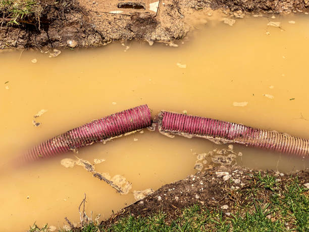 Best 24-hour water damage restoration  in , TX